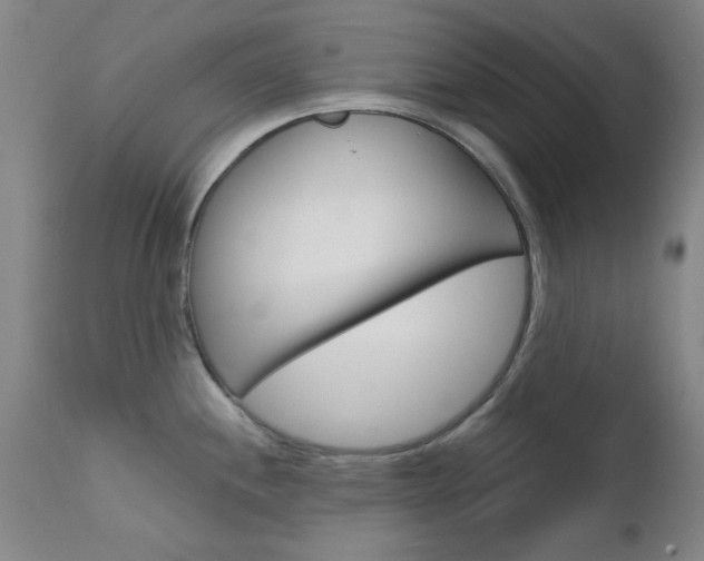 X0000111621244200907171056