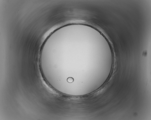 X0000111621245200907171056