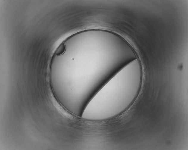 X0000111621246200907171056