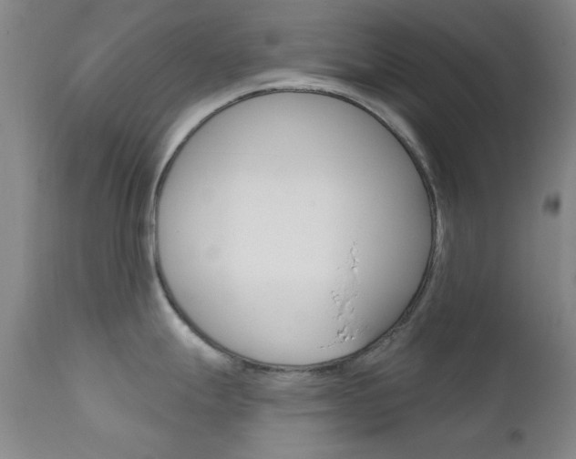 X0000111621247200907171056