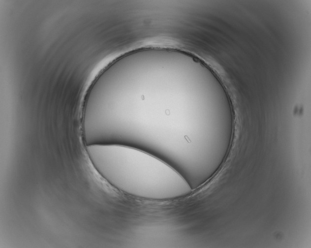 X0000111621248200907171056