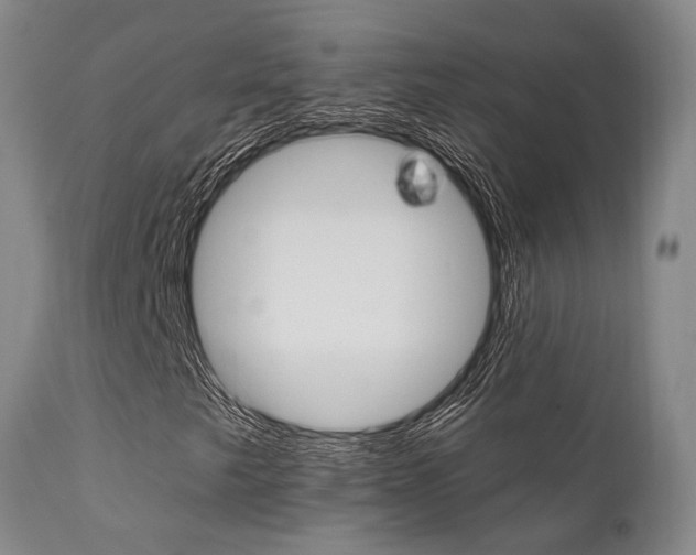 X0000111621249200907171055