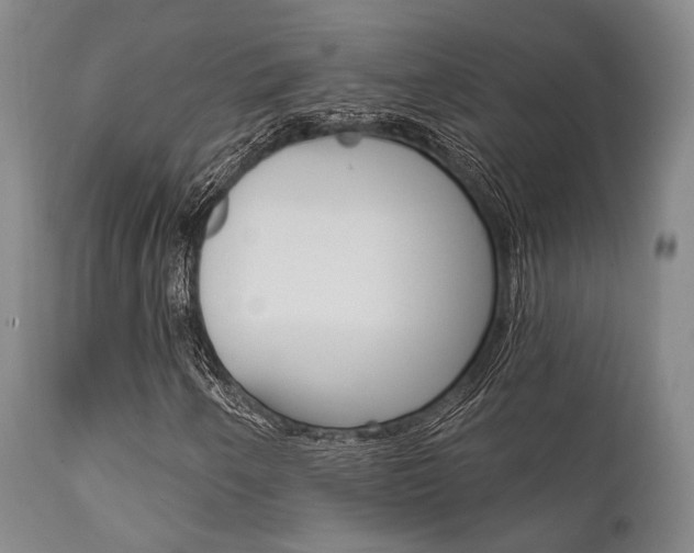 X0000111621250200907171055