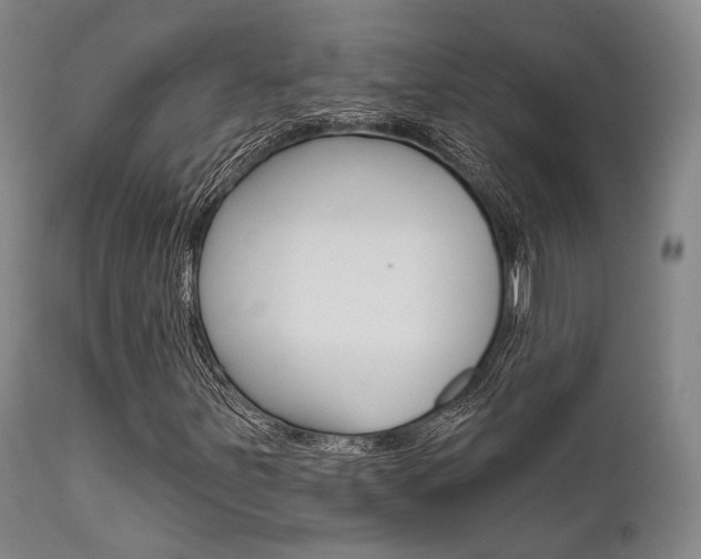 X0000111621251200907171055