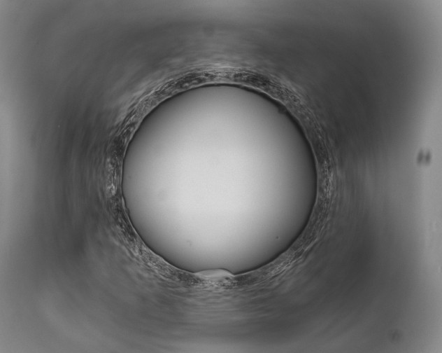 X0000111621253200907171055