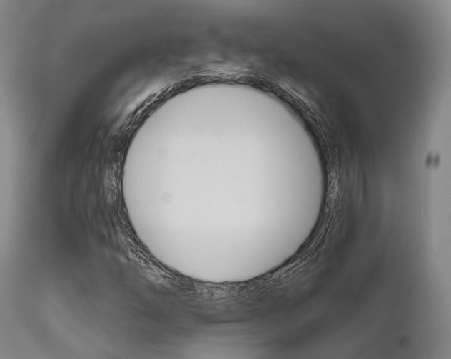 X0000111621254200907171055