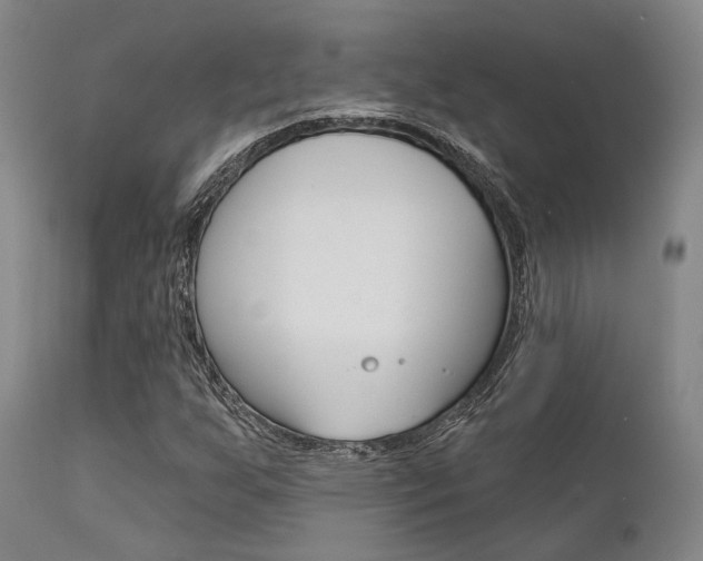 X0000111621255200907171055