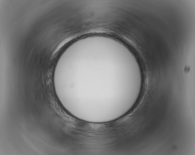 X0000111621258200907171055