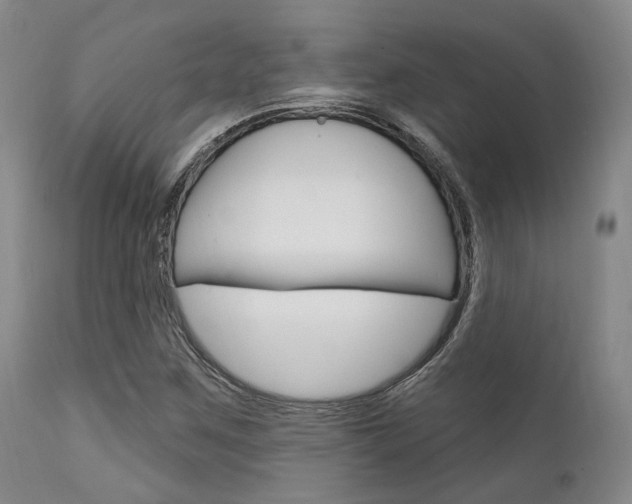 X0000111621259200907171055