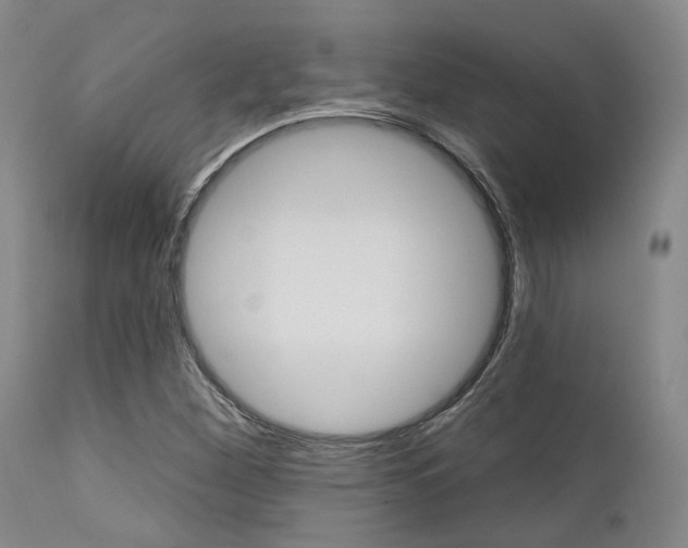 X0000111621260200907171055