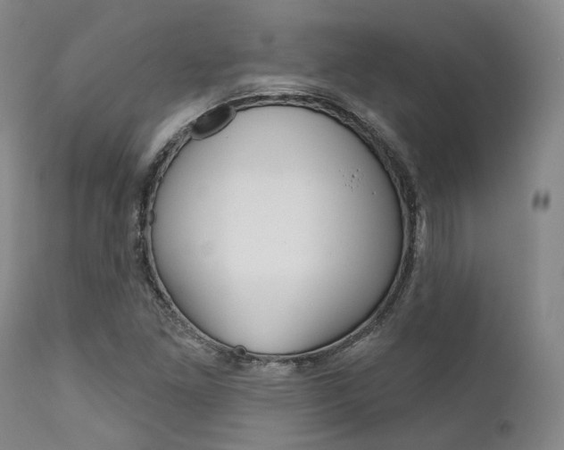 X0000111621261200907171055