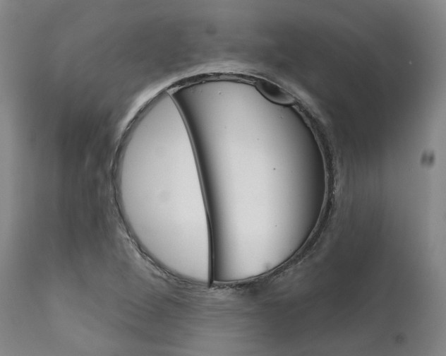 X0000111621264200907171055