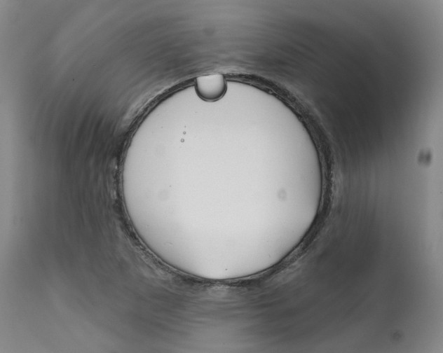 X0000111621265200907171055