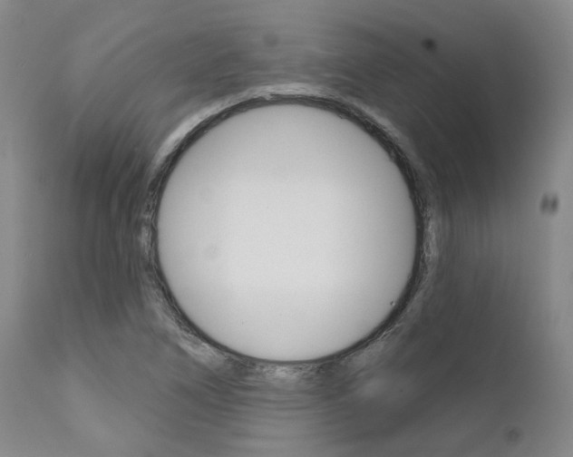 X0000111621266200907171055