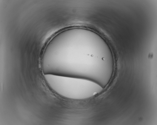 X0000111621267200907171055