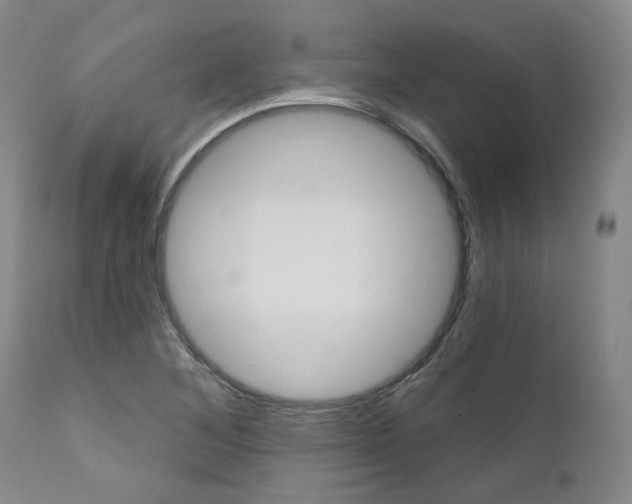 X0000111621268200907171055