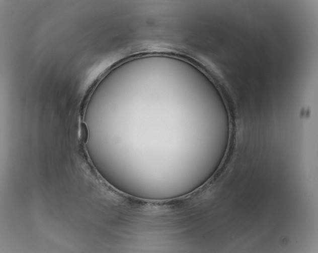 X0000111621269200907171055