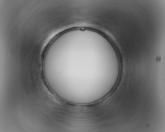 X0000111621270200907171055