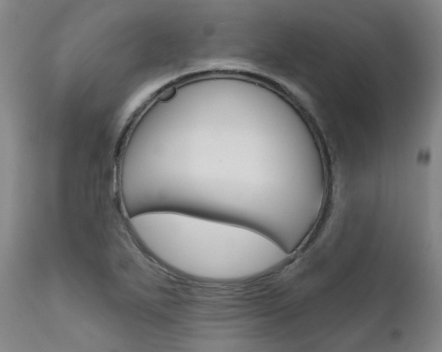 X0000111621271200907171055