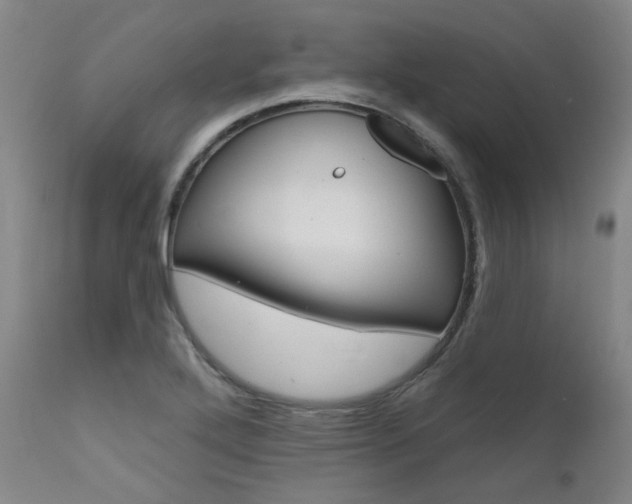 X0000111621272200907171055