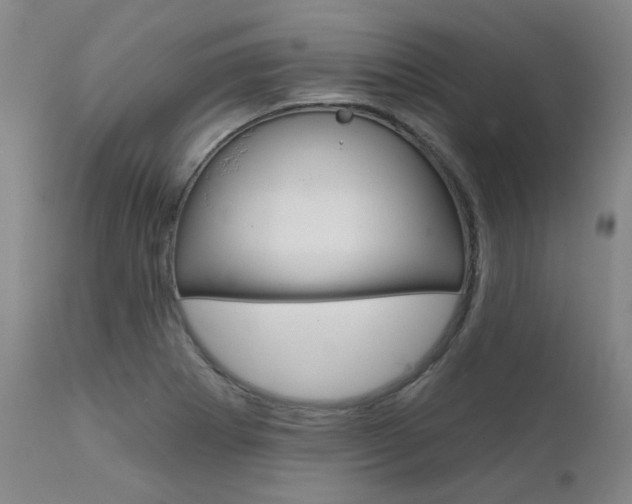 X0000111621273200907171055