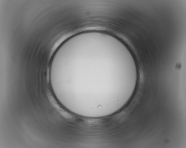 X0000111621274200907171055