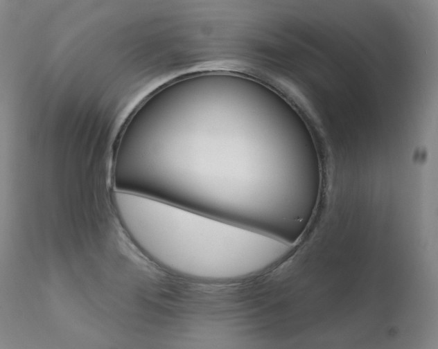 X0000111621276200907171055