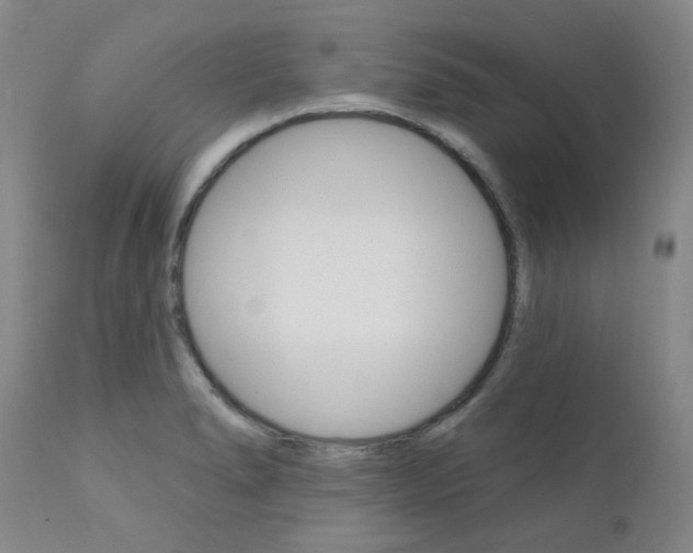 X0000111621278200907171055