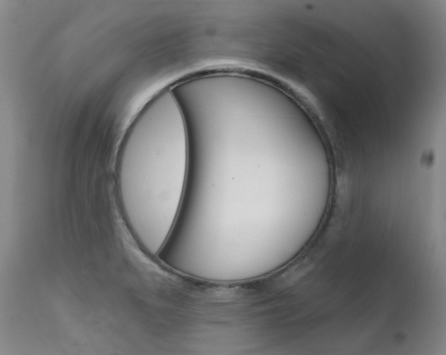 X0000111621279200907171055