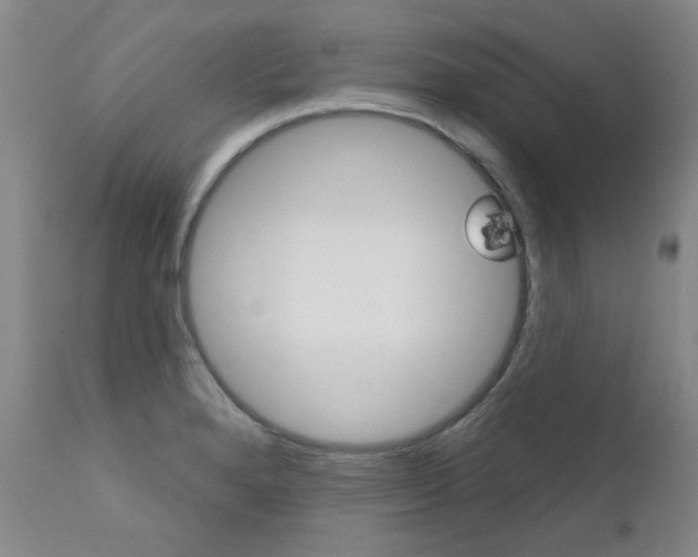 X0000111621280200907171055