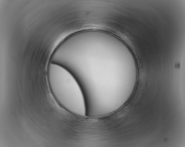X0000111621283200907171055