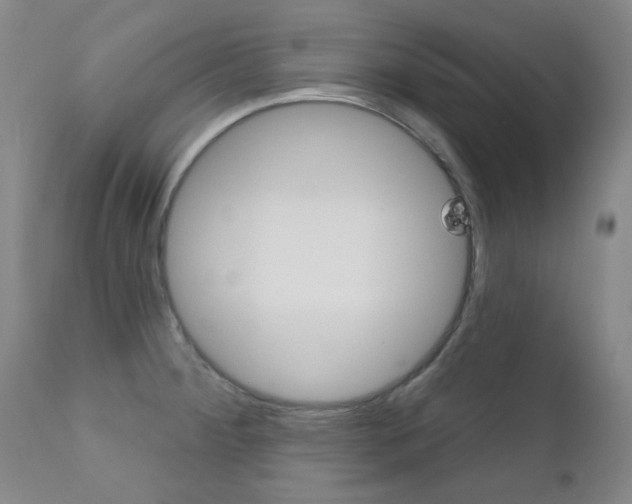 X0000111621284200907171055