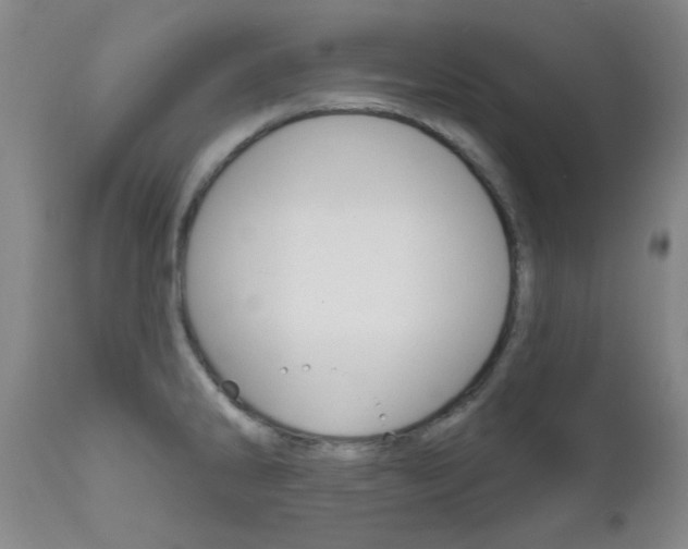 X0000111621286200907171055