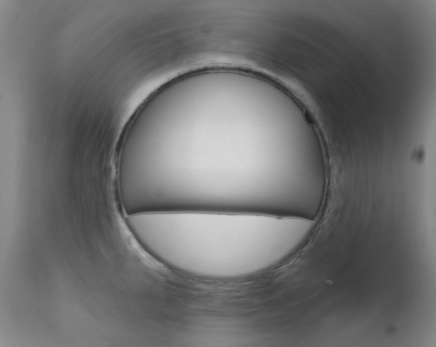 X0000111621287200907171055
