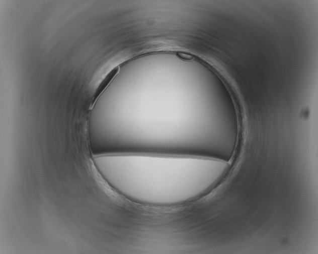 X0000111621289200907171055