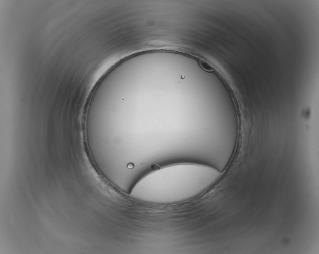 X0000111621291200907171055