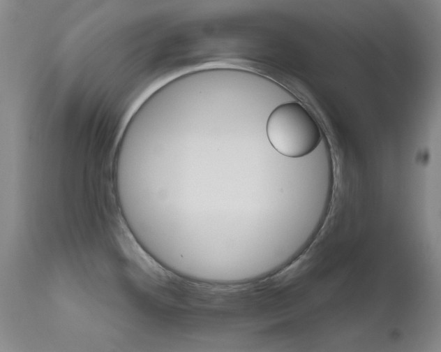 X0000111621292200907171055