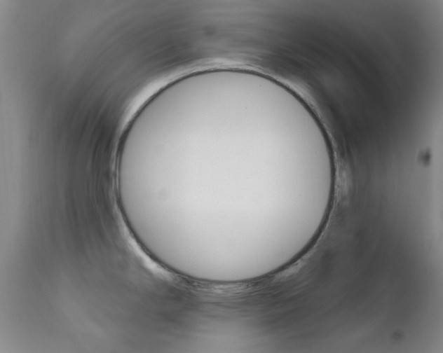 X0000111621294200907171055