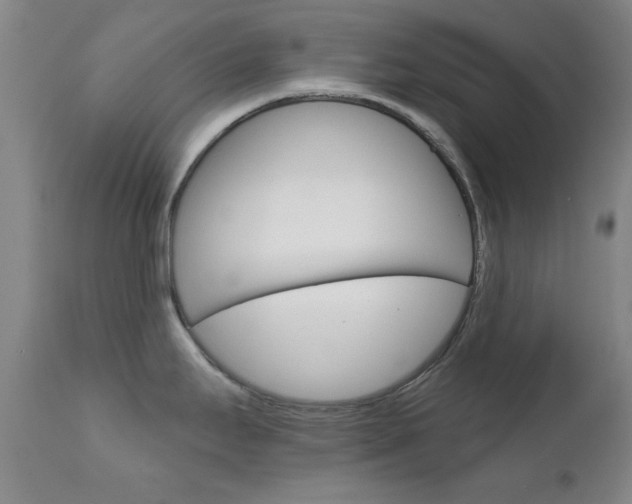 X0000111621295200907171055