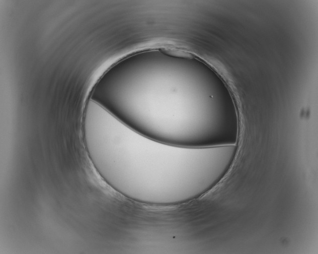 X0000111621296200907171055
