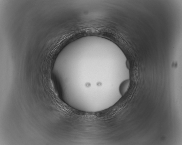 X0000111621297200907171054