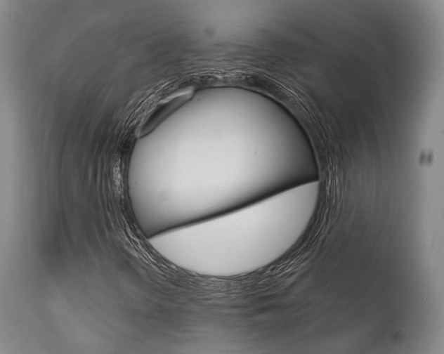 X0000111621298200907171054