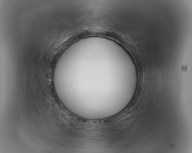 X0000111621301200907171054