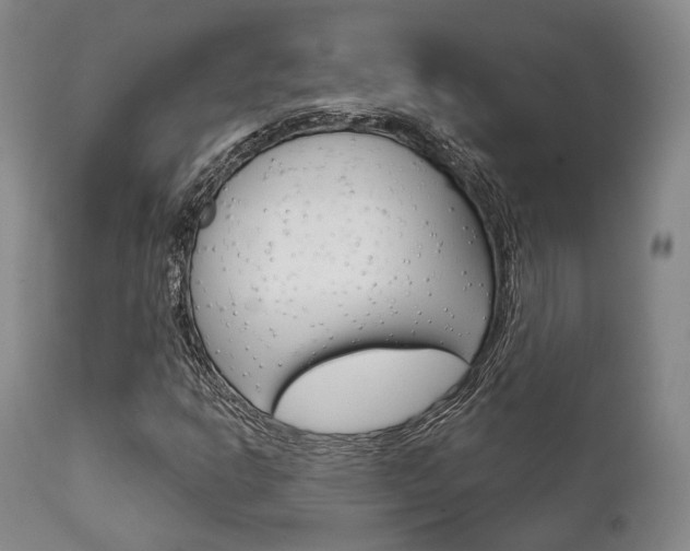 X0000111621302200907171054