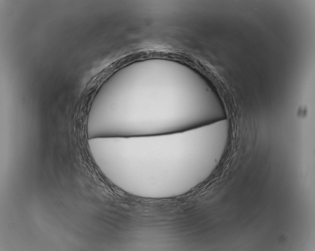 X0000111621303200907171054