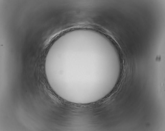 X0000111621304200907171054