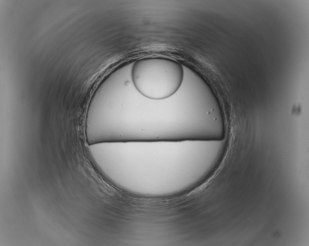 X0000111621305200907171054