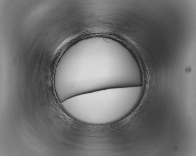 X0000111621306200907171054