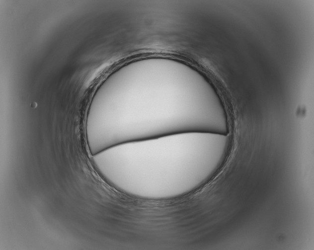 X0000111621307200907171054
