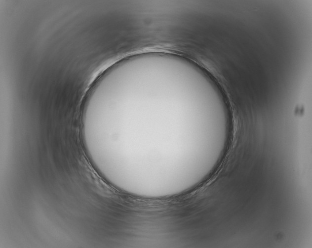 X0000111621308200907171054